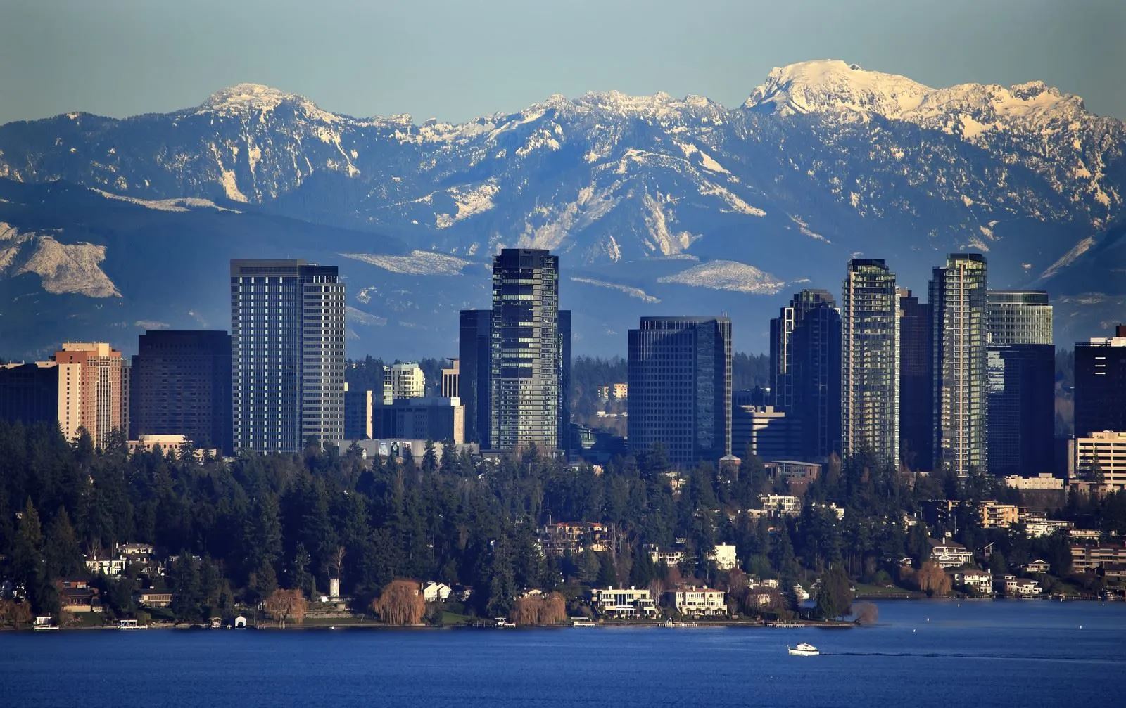 Simple, stress-free, and fast moves for families and businesses across Bellevue, WA