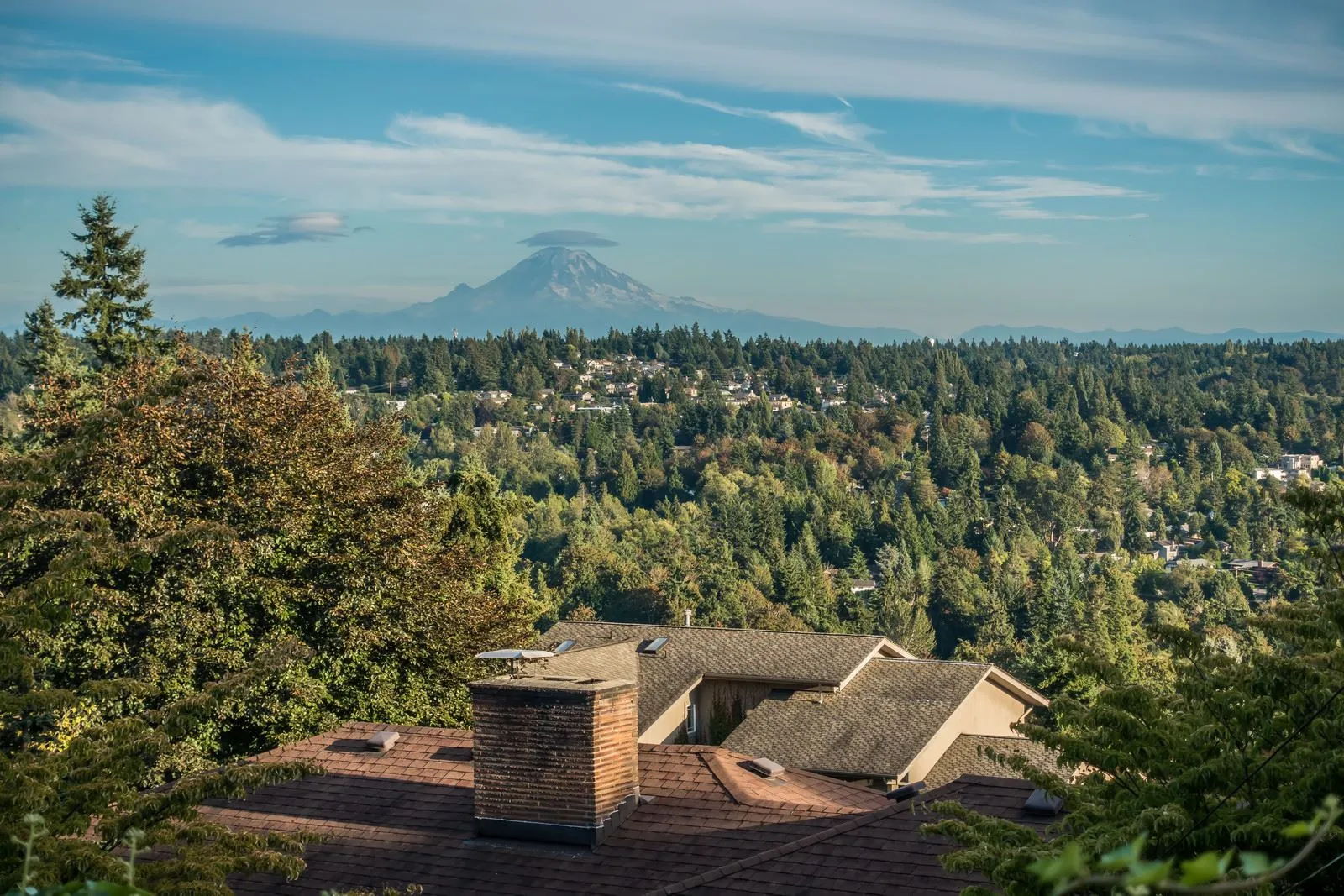 Making moves fast, simple, and stress-free for families and businesses across Kent, WA